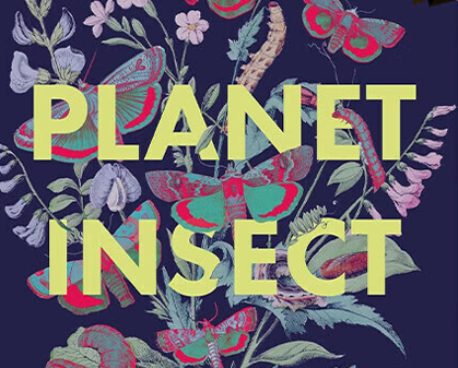 《昆虫星球 Planet Insect》第一季-157资源网