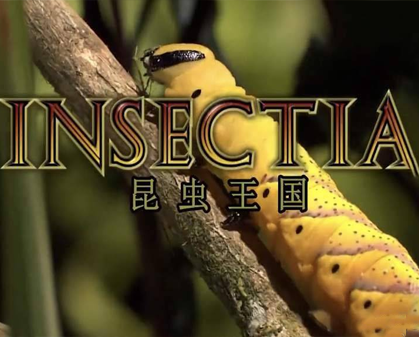 《昆虫王国 Insectia》第一季-157资源网