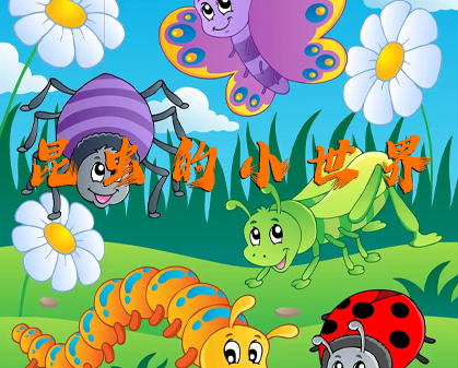 《昆虫的小世界  Little Matters Insects》-157资源网