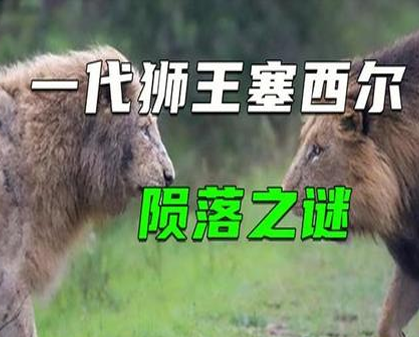 《塞西尔传奇：狮王陨落之谜》-157资源网