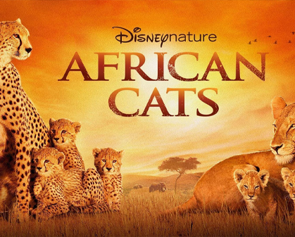 《非洲猫科 African Cats》-157资源网