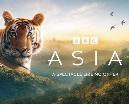《亚洲 Asia》第一季-157资源网