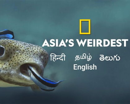 《亚洲最奇怪  Asia’s Weirdest》第一季-157资源网