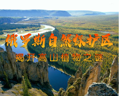 《探秘俄罗斯自然保护区：揭开高山植物之谜》-157资源网