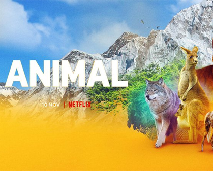 《动物本色  Animal》第一、二季-157资源网