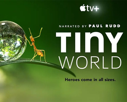 《小小世界 Tiny World》 第一季-157资源网